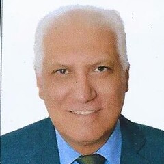 Ayman Awny Mahmoud