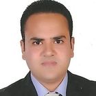 محمد فاضل محمد هلال, Surveyor