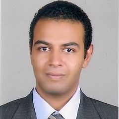 Hazem Tawfik Hussein Amer, Software Developer