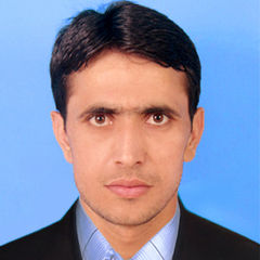 Qaisar Ali, Financial Analyst