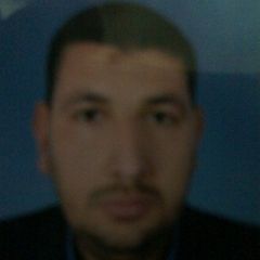 محمود السيد محمد لطفى الانصارى