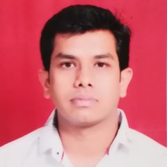 Paras Agarwal, Project Architect