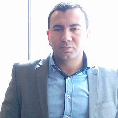 Walid  Elshemi, Sales Manager