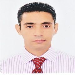 محمد amallah, sales manager