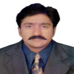 Syed Muhammad Gulzar سيد, Civil Inspector 
