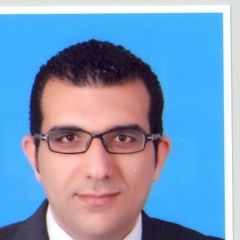 AHMED IBRAHEEM AL DESOUKEY HUSSEIN, Financial Controller