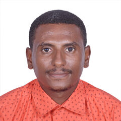 Alsmany Abedelrahim  Hassan MohammedAhmed