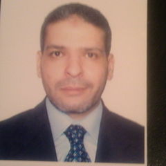 montasser Mohamed Salah El-Din Haseip, Financial & Banking Consultant