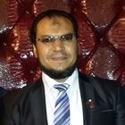 عمرو ananie, Business System Analyst