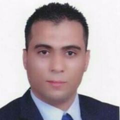 Hany Abdel-Rahman, Accountant