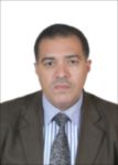 Ihab Habob, Executive Consultant
