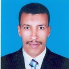 Ahmed Fekry Hussain Othman, HR Officer