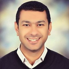حسين القرش, Group Internal Audit Manager