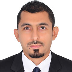 Ali Mohamed , Collections Manager