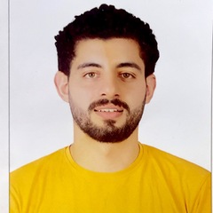 abdelrahman Fadel