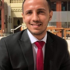 خالد فتحي, Digital Marketing Manager