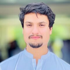 Muhammad Hamza Saeed