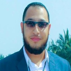 AHMED IBRAHIM, Project Manager