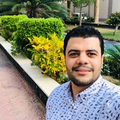 محمود محمد احمد محمد الديب