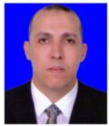 kamel Sayed Mohamed Hammam, Project Manager