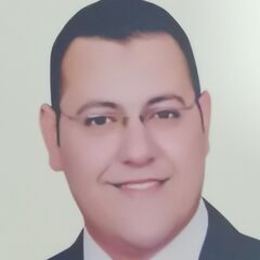 هانى محمد  محمد  السباعي , Director Of Sales And Marketing