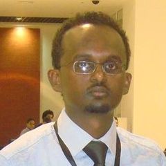 Rufael Tesfaye, Managing Director