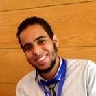 Ahmed Mohamed Hassan Said Ahmed, Technical support agent