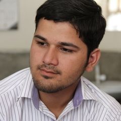 Muhammad Hamza Afzal Butt, Senior Digital Marketing Specialist