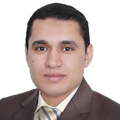محمد محمود عيد محمود الكتامى, مدير مراجعة