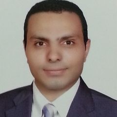 Mahmoud Samir Mahmoud Ali, IT Sr. Business Analyst / IT Service delivery manager