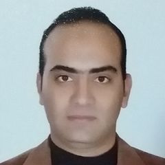 Hussam Mustafa رفاعي, SENIOR SOFTWARE DEVELOPER