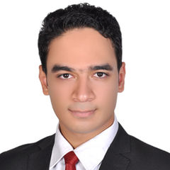 Mohamed Salem Ahmed Mohamed