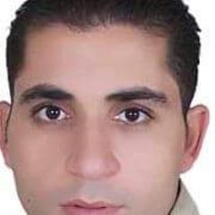 هاني أبو الخير, Luxor Branch Manager