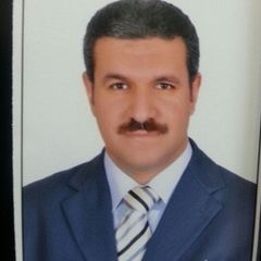 Ahmed Shawky, المدير المالي