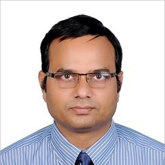 Tarun Das, System Auditor