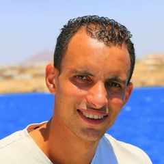 Ahmed Raafat, Unit Sales Manager