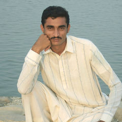 saifal faredi