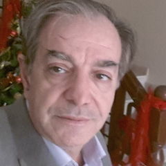 Ahmad Mahroussah, Assistant professor