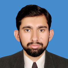 Hasan Raza, BSS , Transmission & Drive Test Engineer
