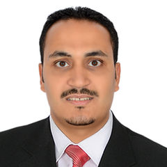 Ahmed Mahmoud, Chief Accountant