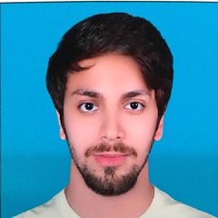 Hamza Afzal, Sinior Outbound agent