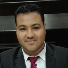 AbdelRahman Omar AbdelKarim, site engineer
