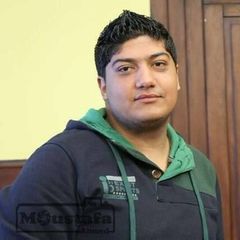 محمد خميس صابر حسن الطويل, مراقب جوده