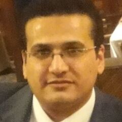Mohamed Hamed    sarhan, projects manager (Owner Representative)