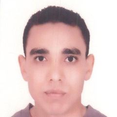 profile-محمد-صلاح-امام-45487205