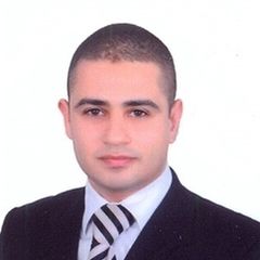 Ahmed Hamdy, Shipping Manager