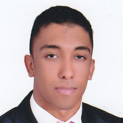 Mohamed Abd El Aziz Hussein