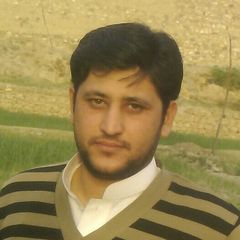 Abid Ullah