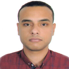 Ashraf Qandeel, Export Sales Manager