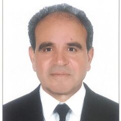 Gamal Abdelhameed, Civil Engineer Project Manager